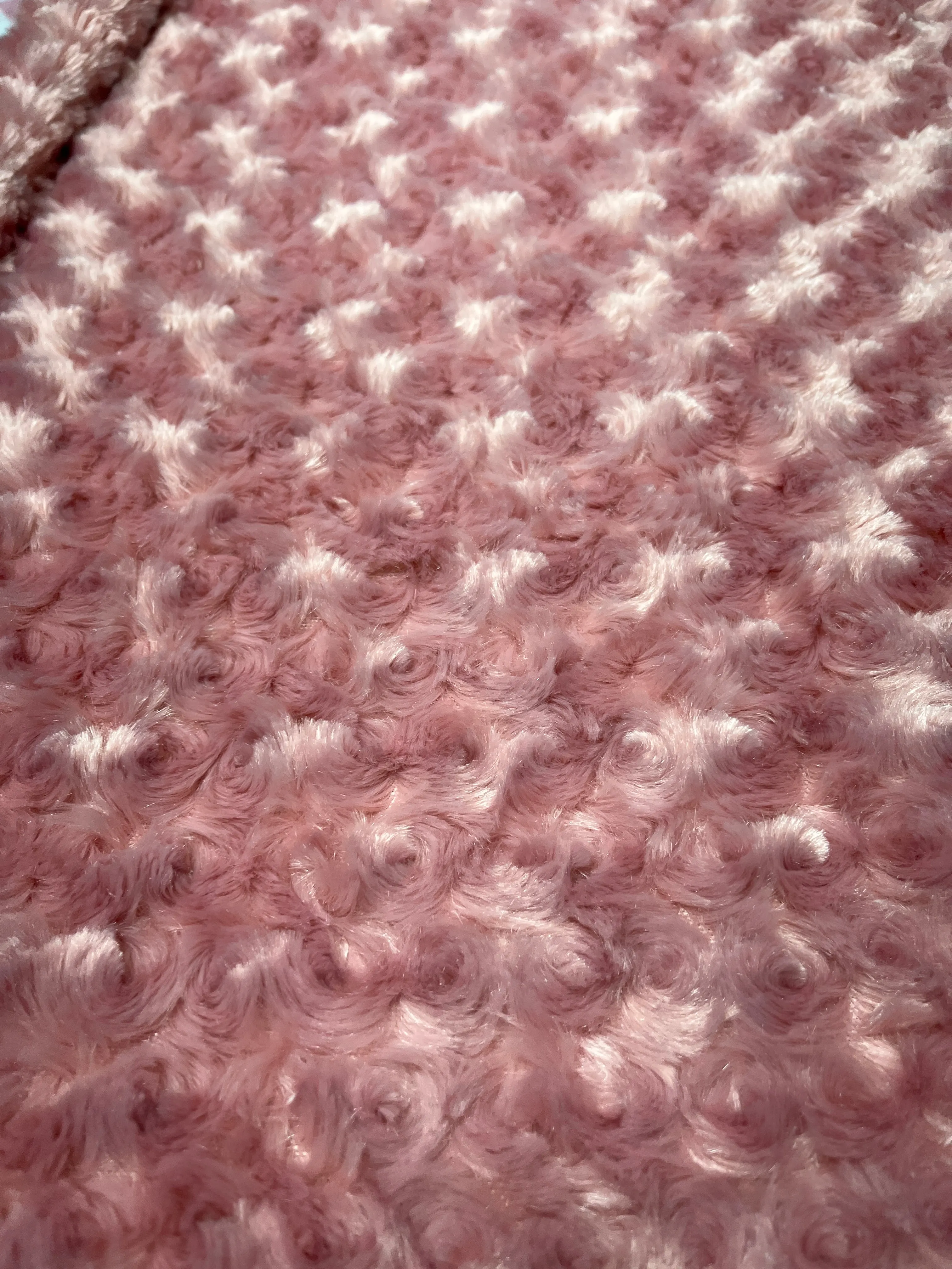 CowGirl in Pink Rosewater Minky Blanket *Choose Size & Backing